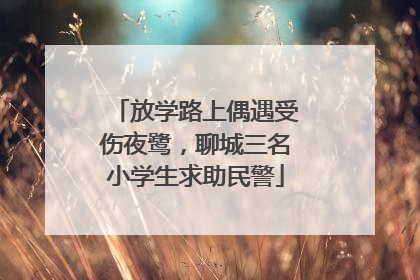 放学路上偶遇受伤夜鹭，聊城三名小学生求助民警